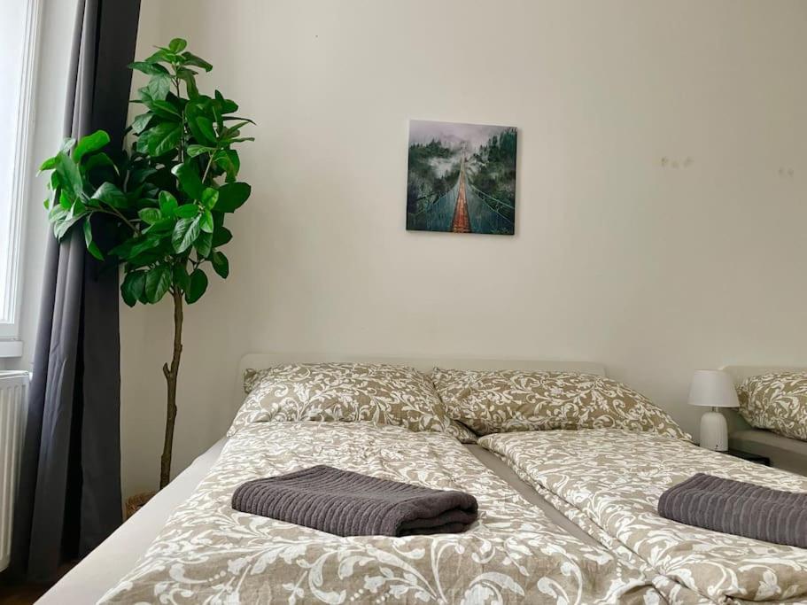 70 M2 Premium With Terrace & Free Parking * Wien